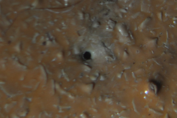 lab analysis image (7)